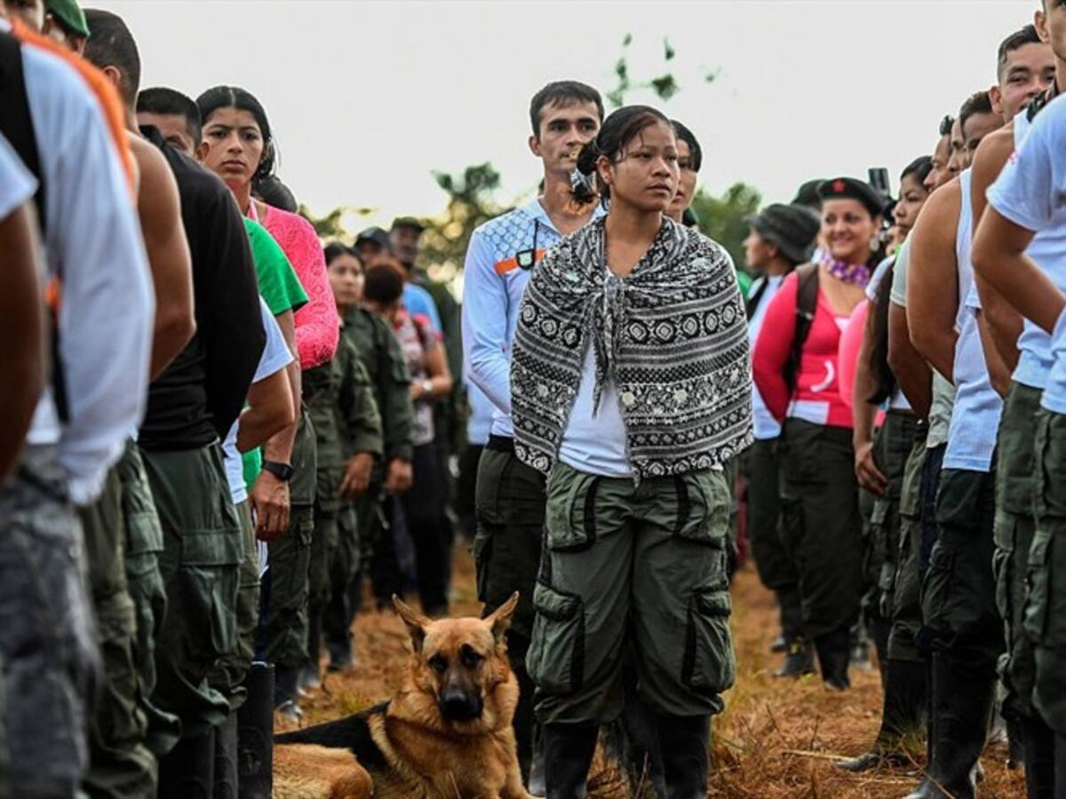 Integrantes de la Farc se trasladaron desde Nariño al sur del Cauca