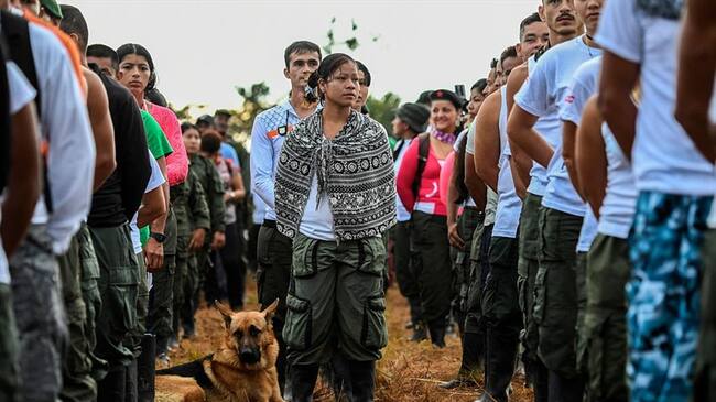 Imagen de referencia. Foto: Getty Images