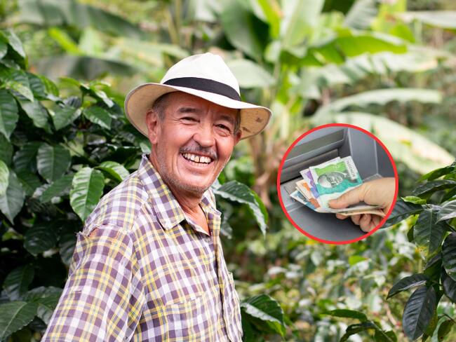 Adulto mayor sonriente en un cultivo de café y de fondo una persona retirando dinero colombiano en un cajero automático (Fotos vía Getty Images)