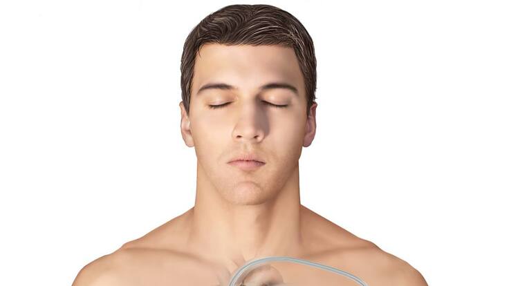 Buenos hábitos para mantener un corazón sano