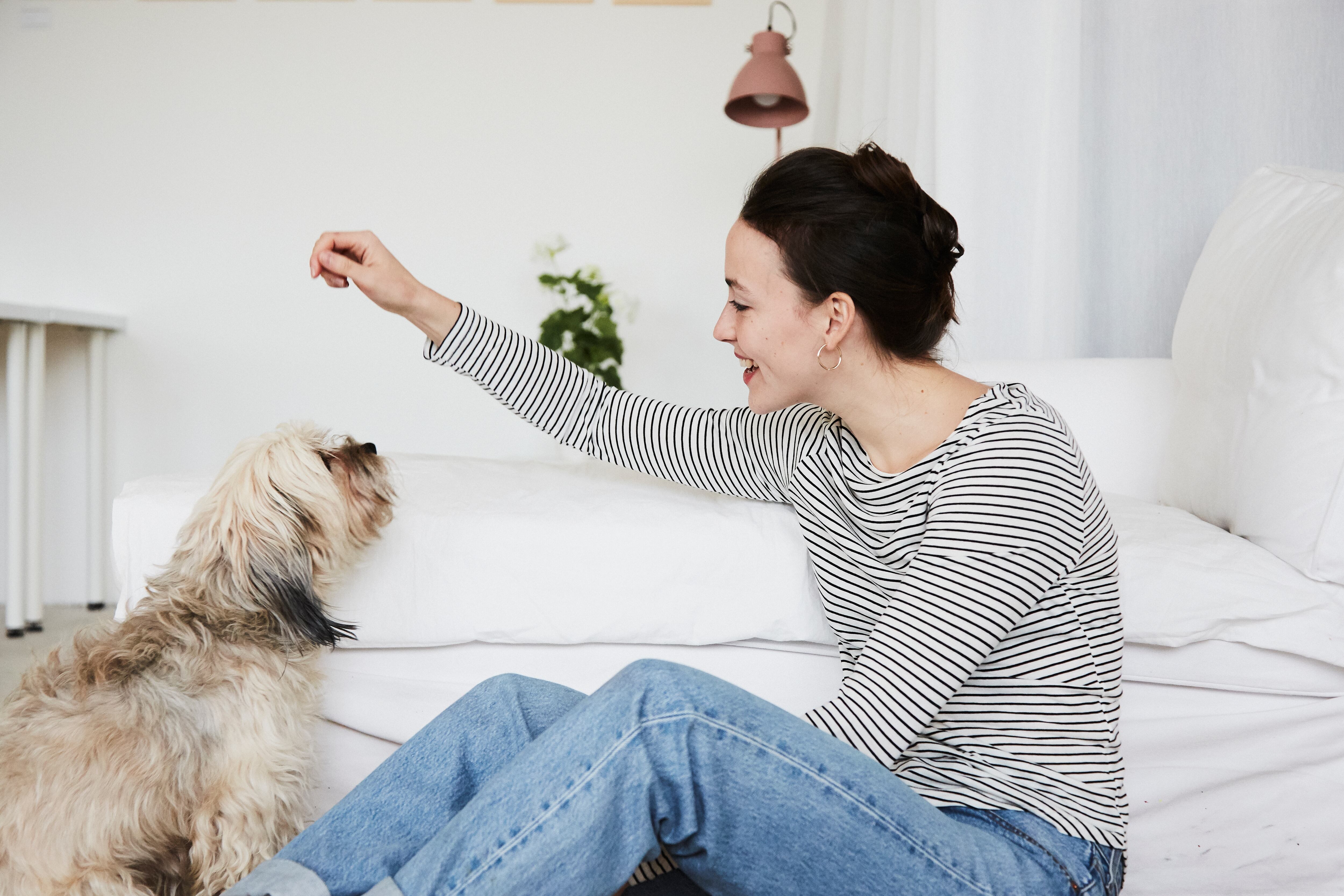 Mujer entrenando a su perro en casa (Foto vía Getty Images)