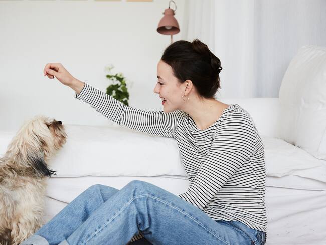 Mujer entrenando a su perro en casa (Foto vía Getty Images)