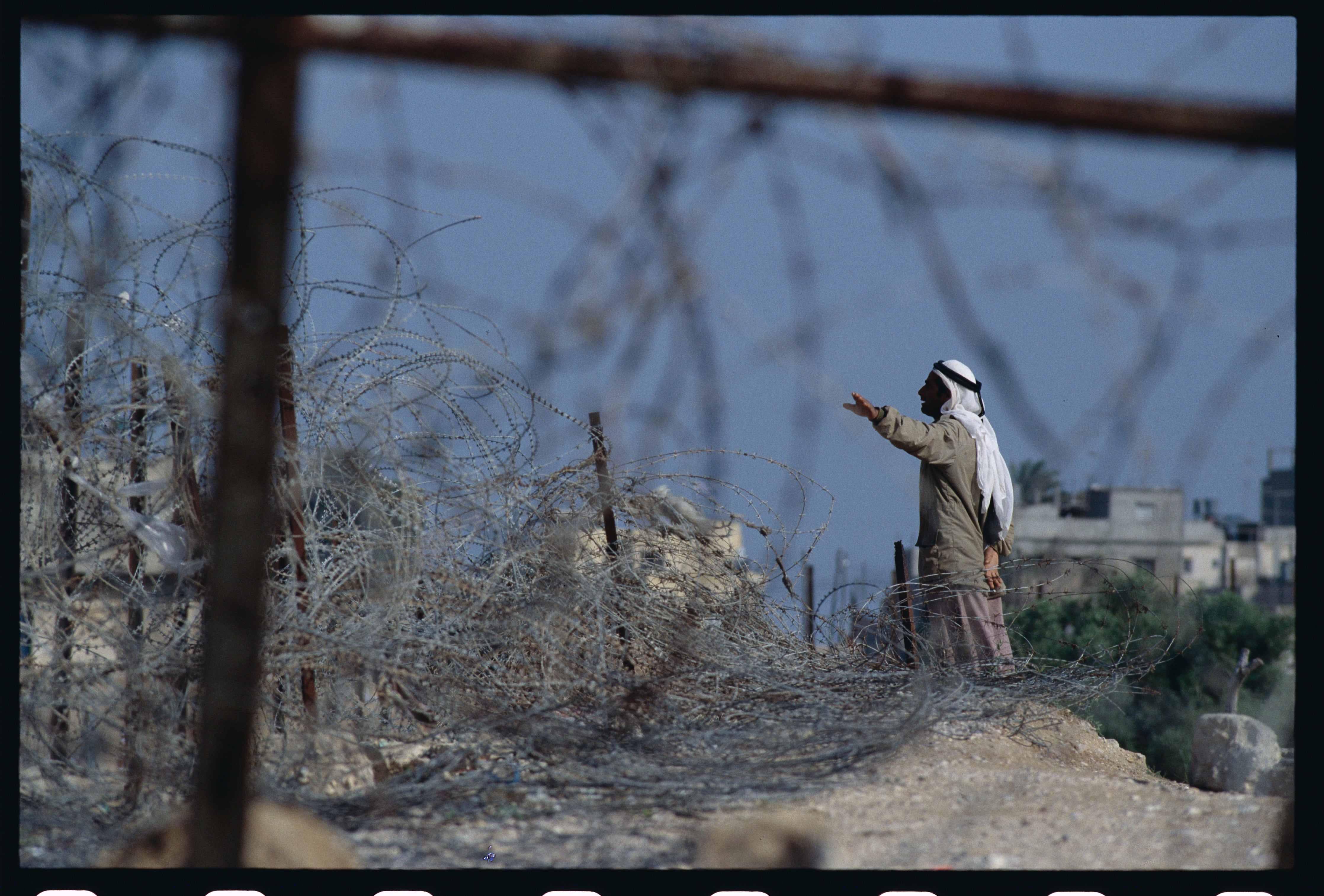 Imagen tomada de Getty Imagenes // (Autor: David H. Wells)