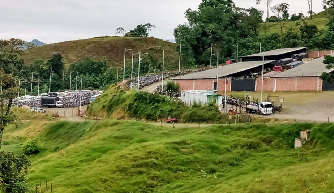 Automotores abandonados