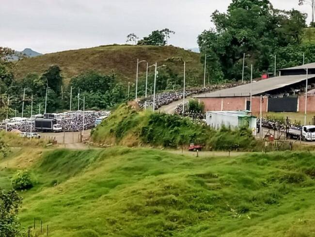 Automotores abandonados