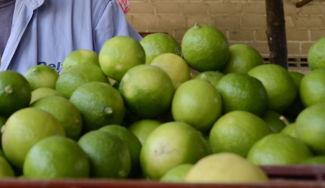 Limones. Imagen de referencia
