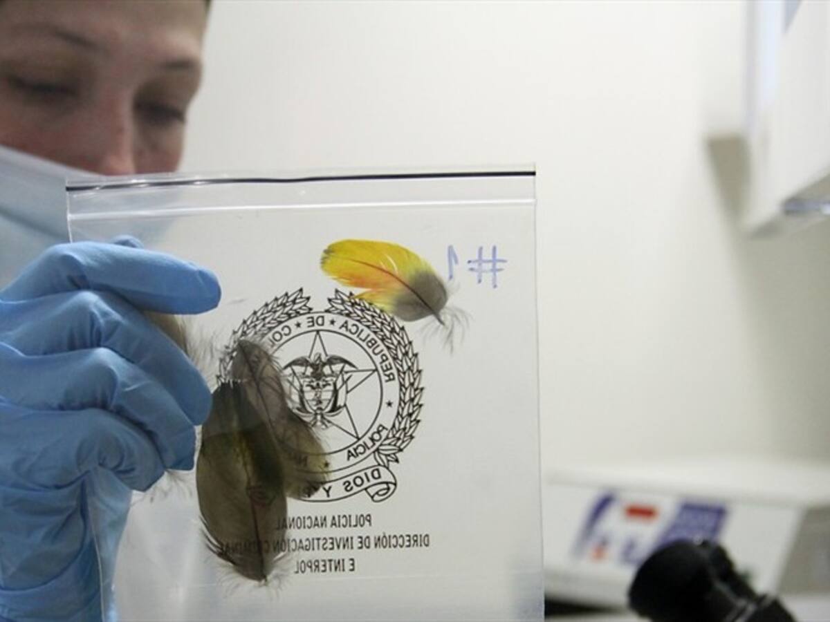 Fiscalía y Policía fortalecen protocolos de investigación y cuidado de escenas de crímenes