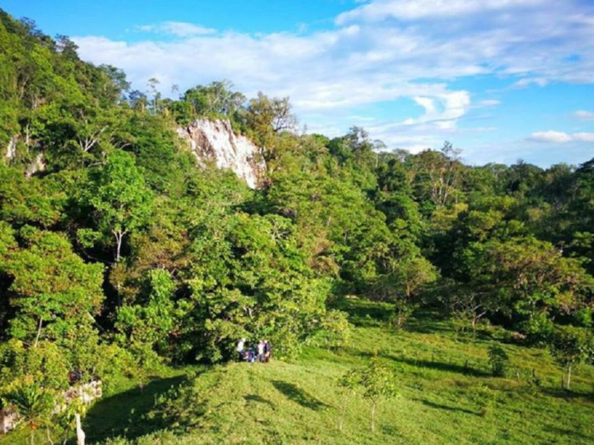 Cornare le apuesta a la prevención para evitar incendios forestales