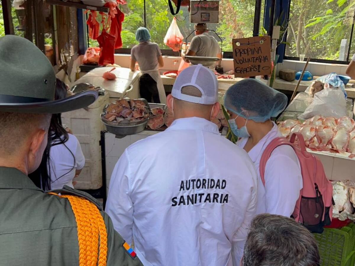 Fueron incautados más de 300 kilos de pescado por condiciones no aptas para el consumo