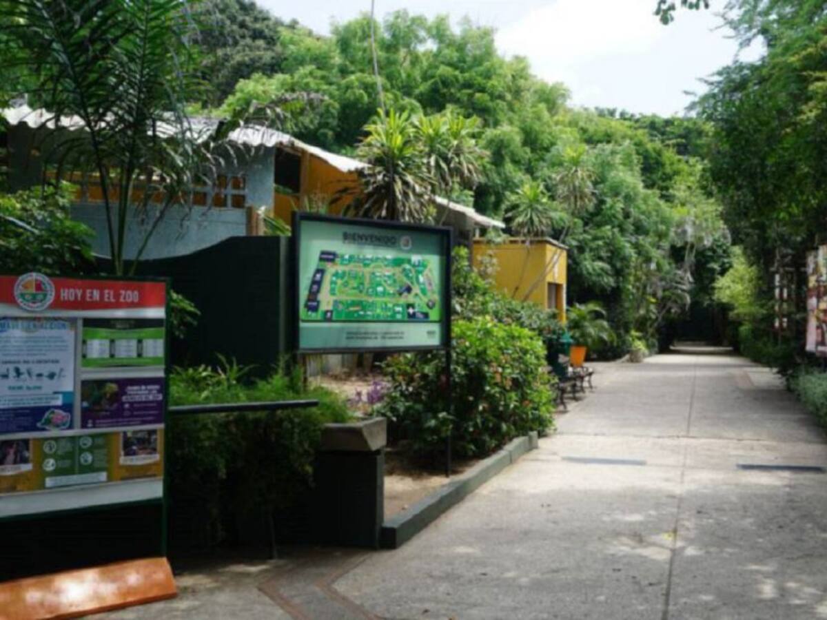 Zoológico de Barranquilla será punto de vacunación este fin de semana