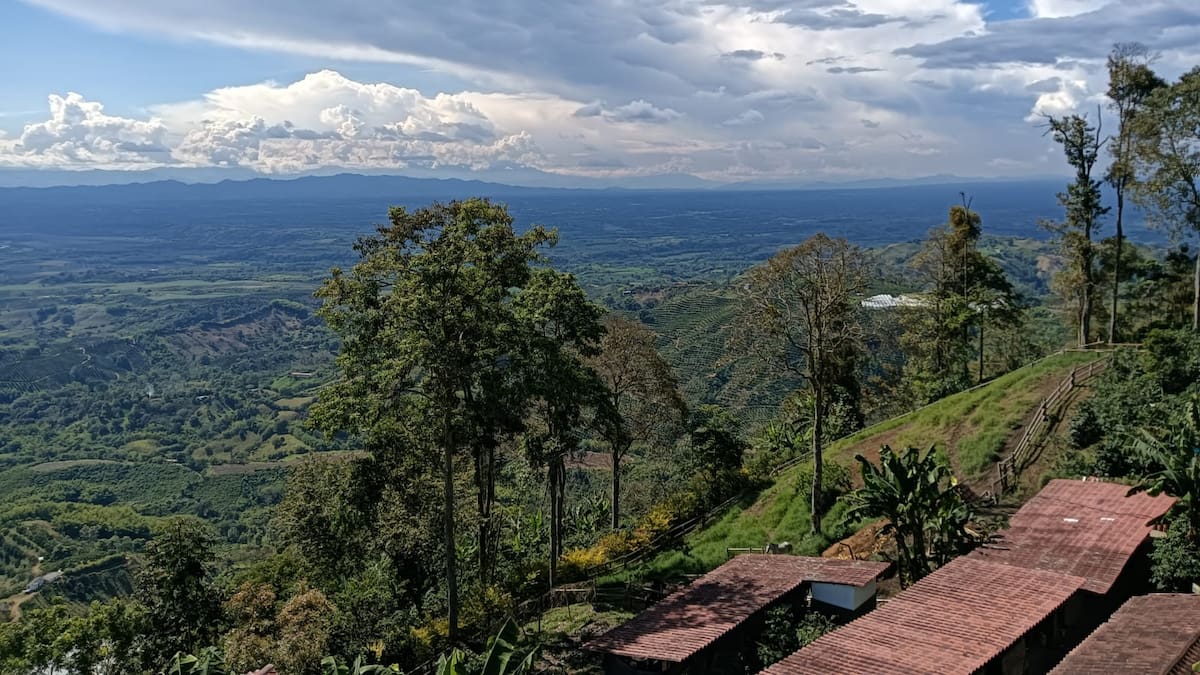 Miércoles 20 de agosto, las noticias más importantes de Armenia y Quindío