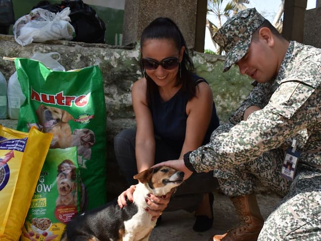 Escuela Naval realiza donación a perros en Turbaco, Bolívar