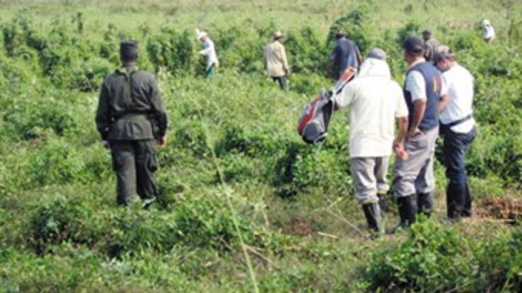 Guerrilleros y paramilitares se han robado cerca de 700 mil hectáreas de tierra en el país