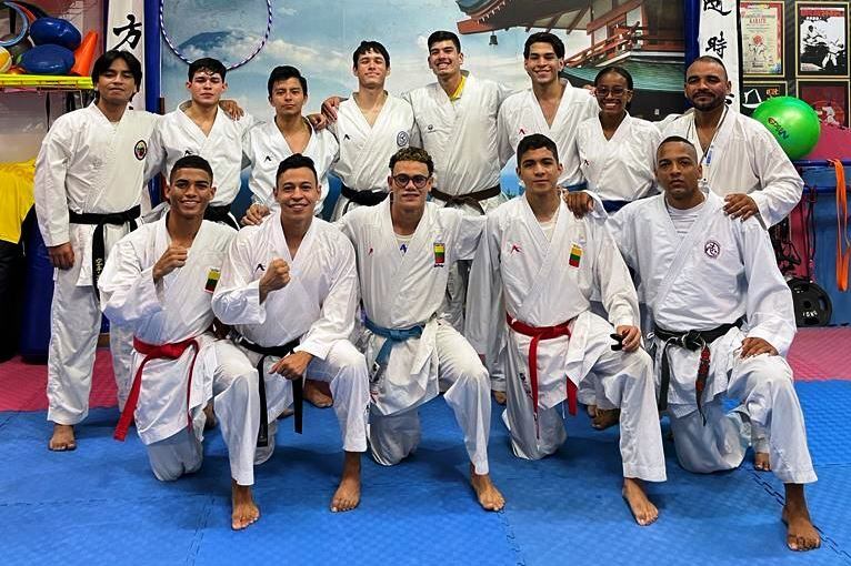 Liga de karate