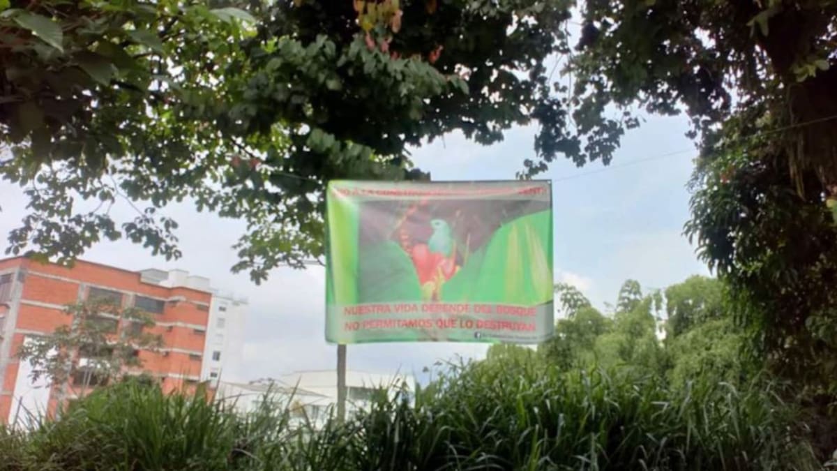 Comunidad rechaza construcción en el bosque de Álamos de Pereira