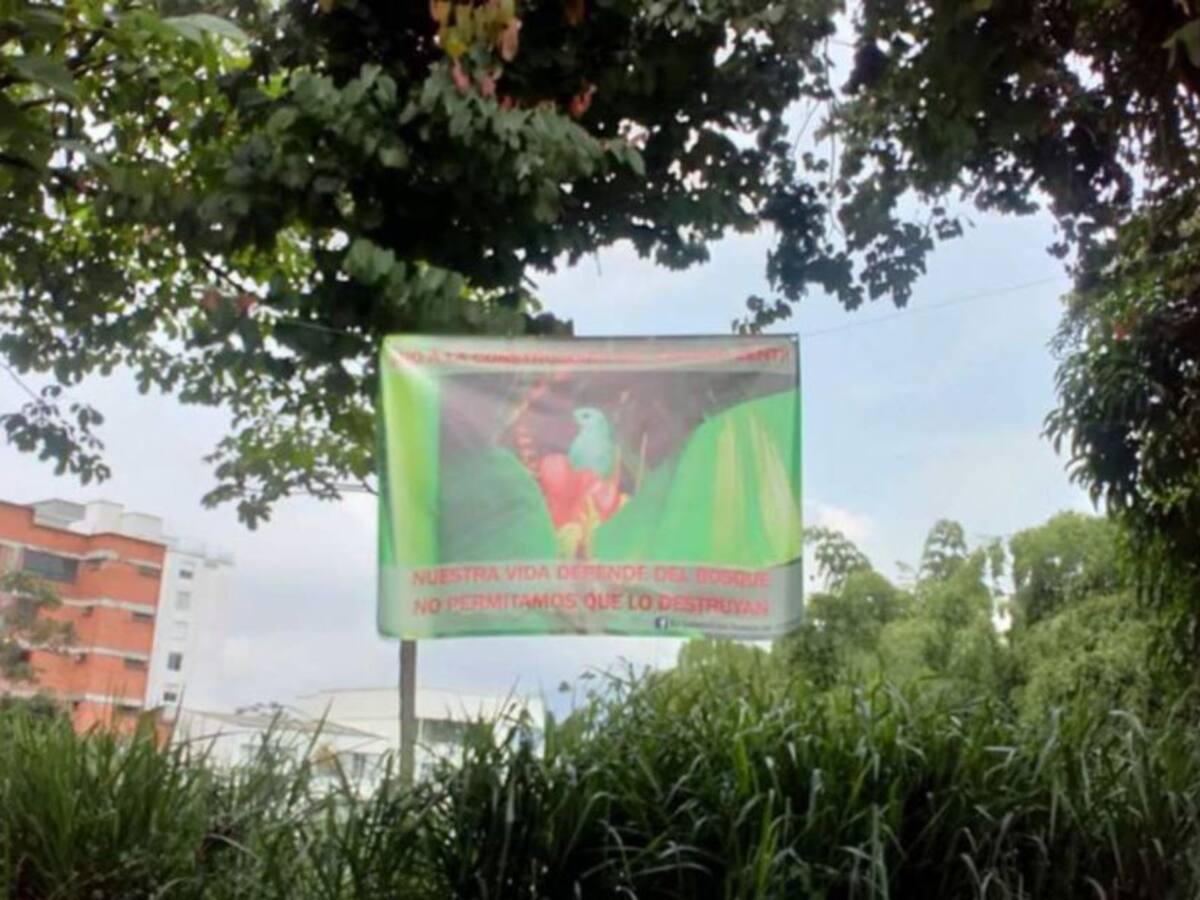 Comunidad rechaza construcción en el bosque de Álamos de Pereira