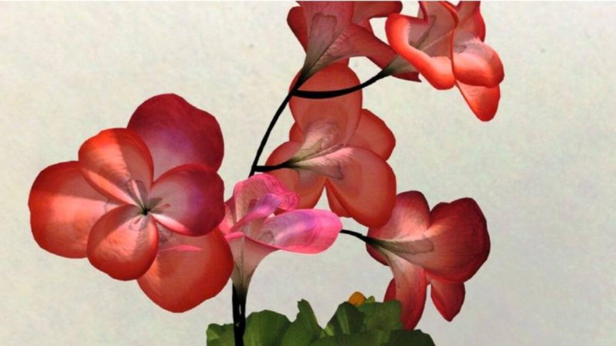 Brown también ha realizado proyectos para la cantante estadounidense Lady Gaga, Mulberry (una compañía inglesa de carteras y otros productos de lujo), PlayStation de Sony, el canal de televisión MTV y Hello Kitty.