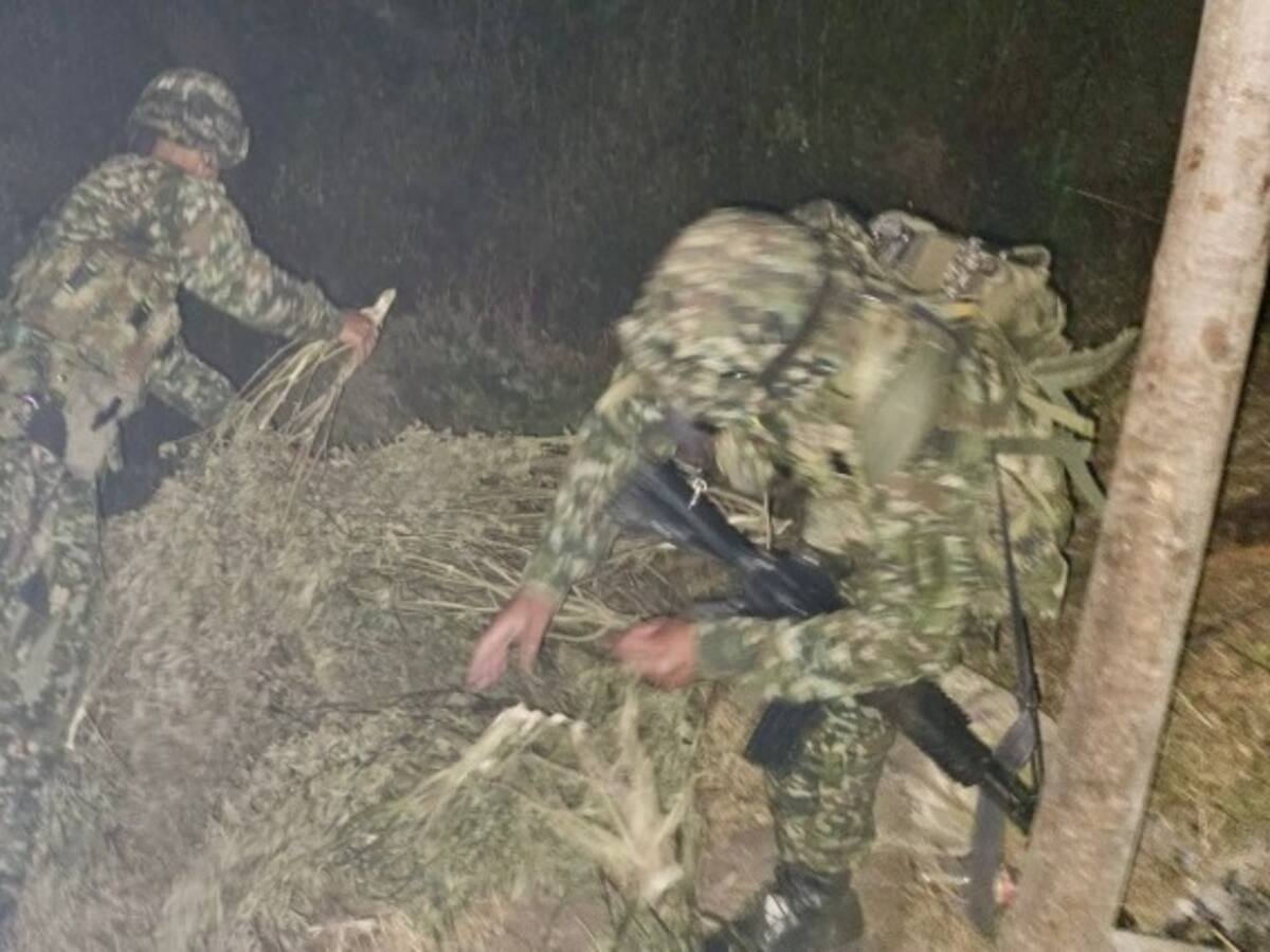 Ejército incautó más de una tonelada de marihuana en el Cauca