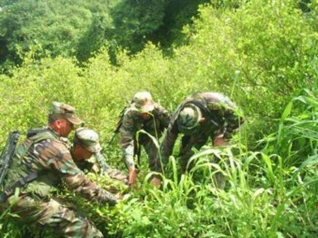 Ordenan retiro de erradicadores de coca del Catatumbo