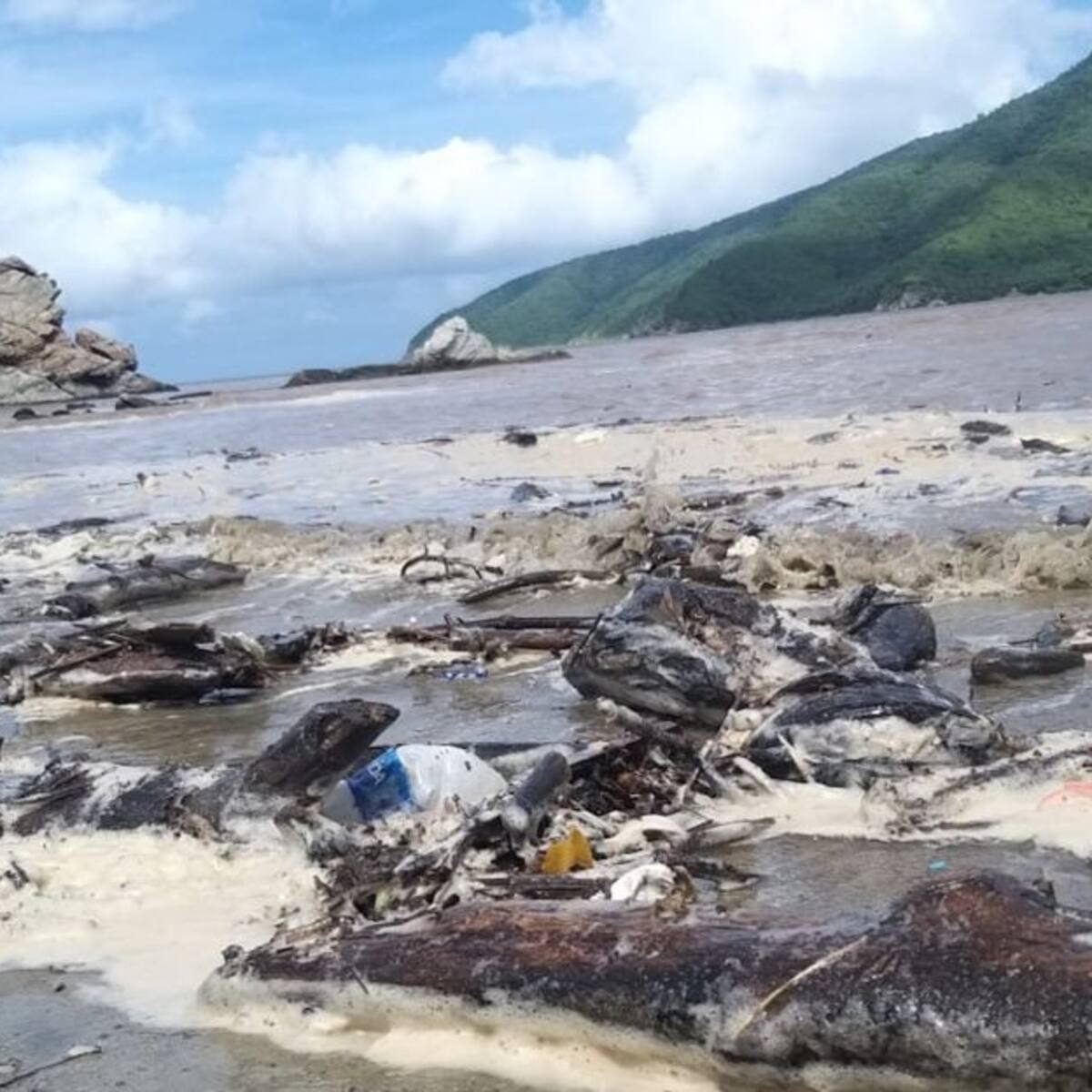 Continúa restricción en el ingreso por tres sectores del Parque Tayrona