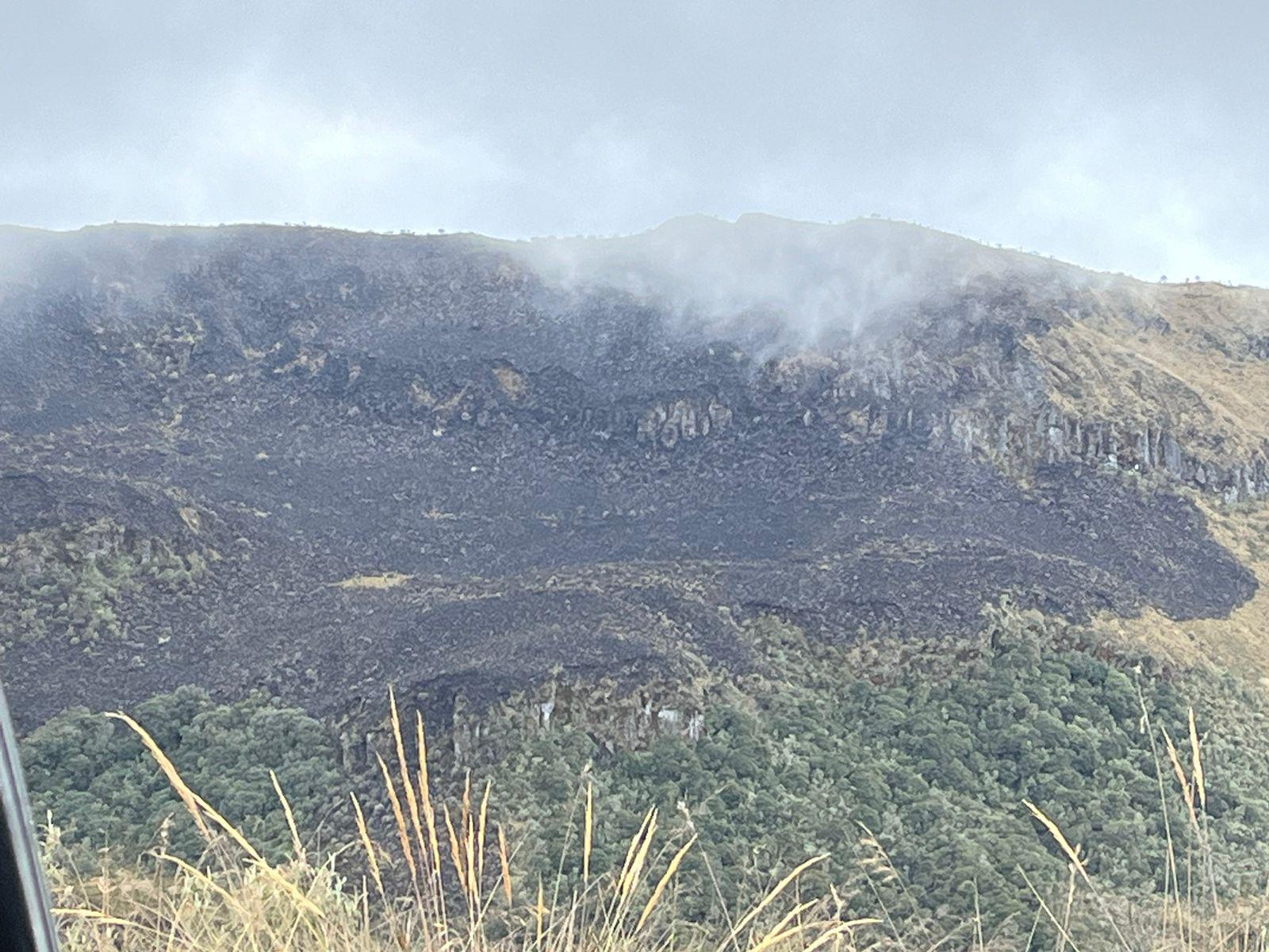 El incendio forestal fue atendido por organismos de socorro de Tolima y Caldas.