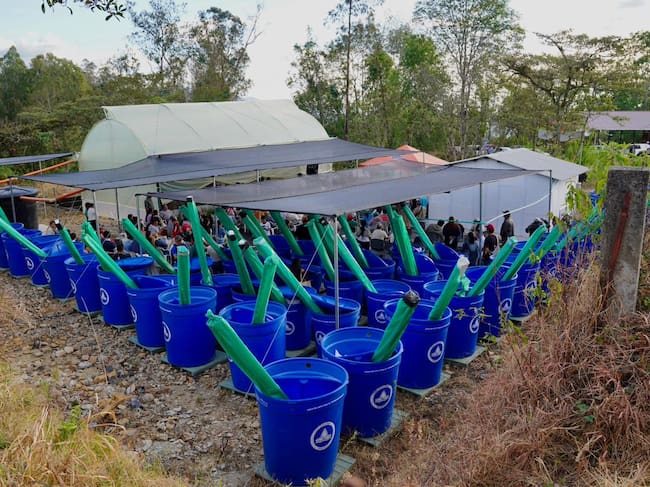 Como parte de las medidas para enfrentar los periodos de menor disponibilidad de agua, Chiquinquirá y Buenavista recibieron 200 tanques destinados a la recolección de aguas lluvias, 100 para cada municipio.
