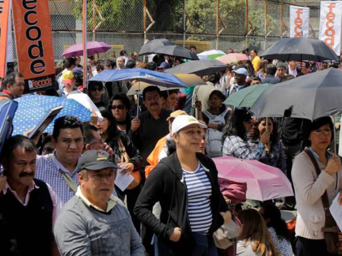 Los docentes del Tolima apoyarán el plebiscito por la paz