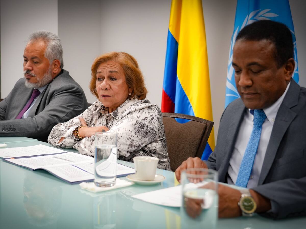 Colombia presentará ante Naciones Unidas avances del Acuerdo de Paz: Alerta por recorte presupuestal