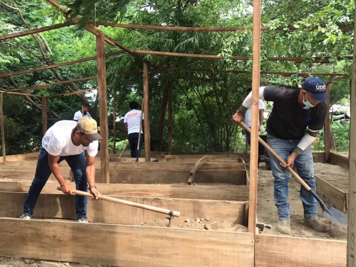 Implementan estrategias ecológicas para despertar consciencia ambiental