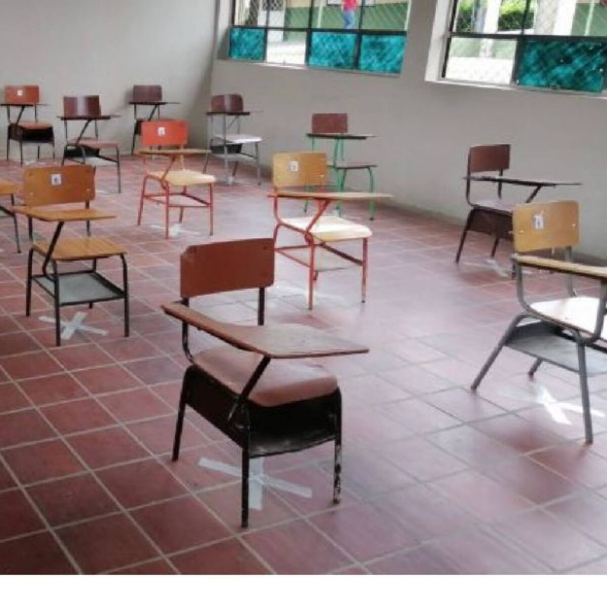 El 30 de noviembre vence el plazo para el traslado de docentes en Ibagué