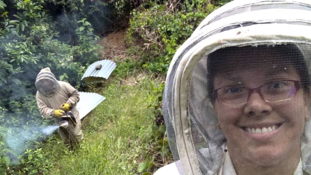 Cómo sacar adelante un negocio apícola, con gran potencial en Colombia