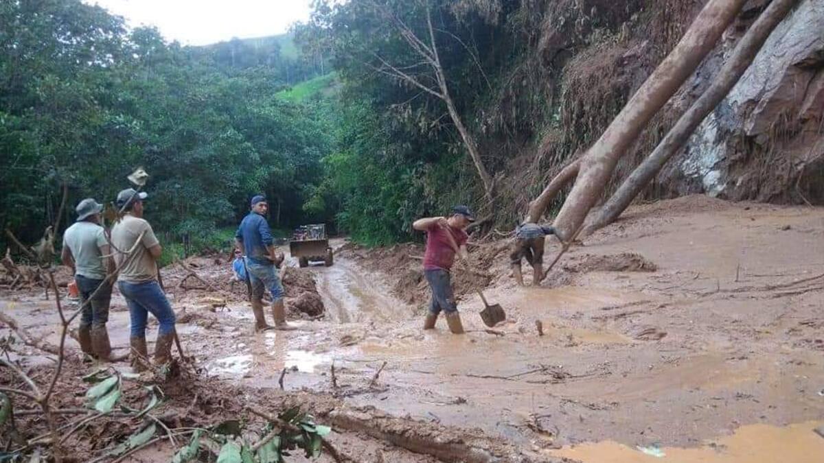 Cerca del 50% de los campesinos del Caquetá no celebraron su día