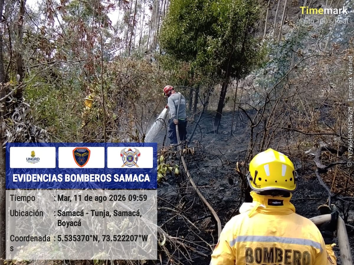Incendio forestal en Samacá está controlado en un 90%