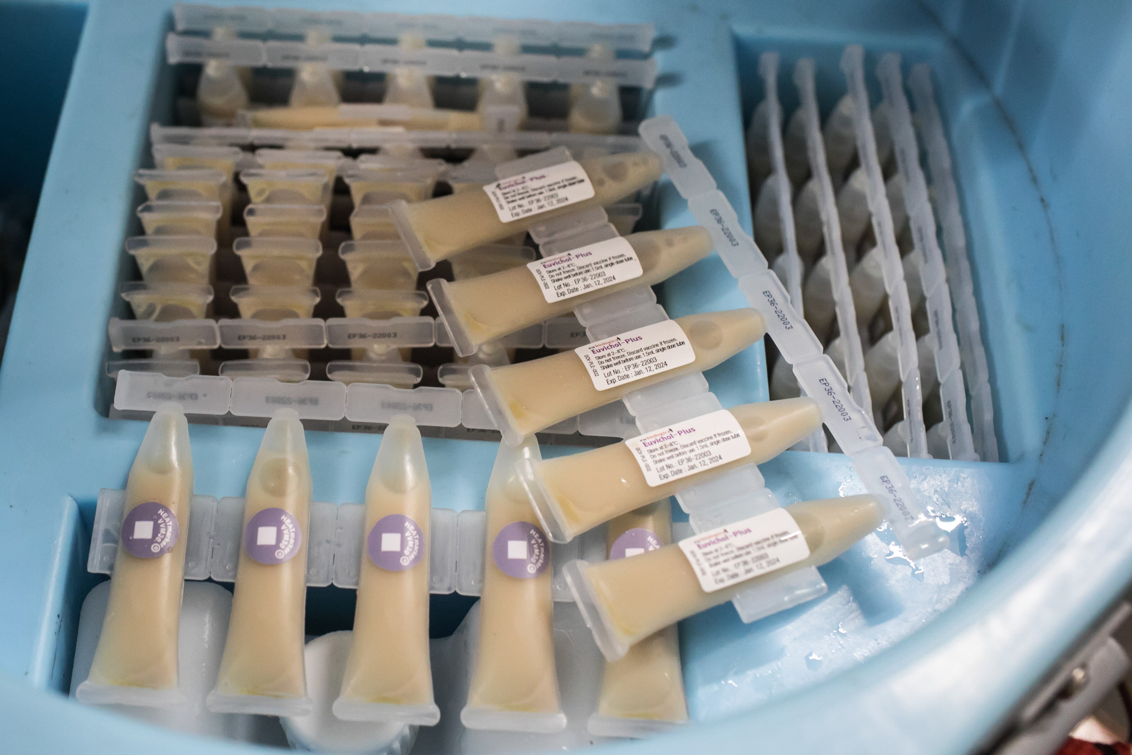 Versión oral de la vacuna contra el cólera.