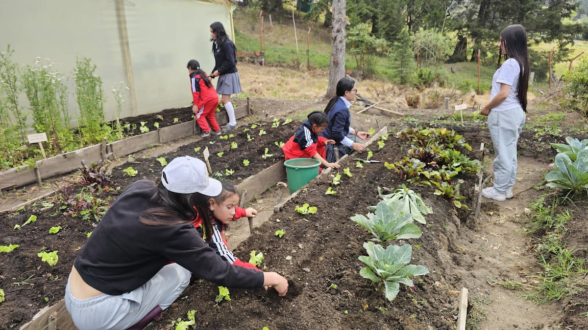 Institución Educativa de Buenavista, recibe Sello de Educación Ambiental