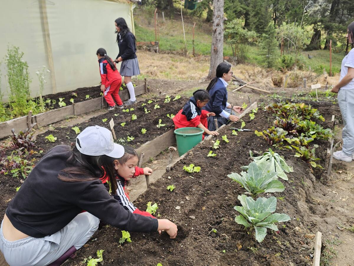 Institución Educativa de Buenavista, recibe Sello de Educación Ambiental