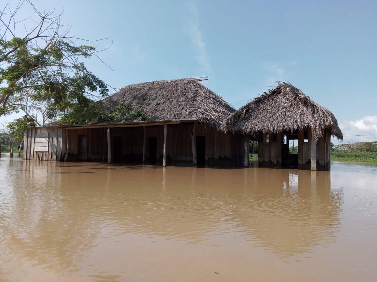 ProMojana: “Si sigue entrando agua a La Mojana estamos condenados a desaparecer”
