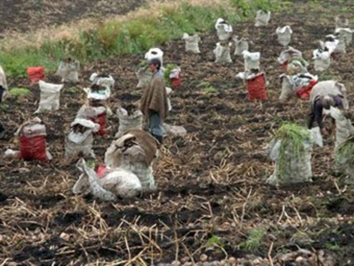 Campesinos y Gobierno llegaron a acuerdos en la protección de alimentos de clima frío