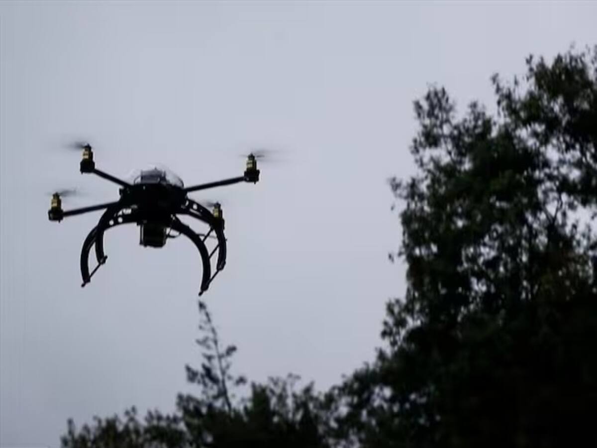 En el Patía, Cauca, rechazan notificación de inicio de aspersión con glifosato a cultivos ilícitos