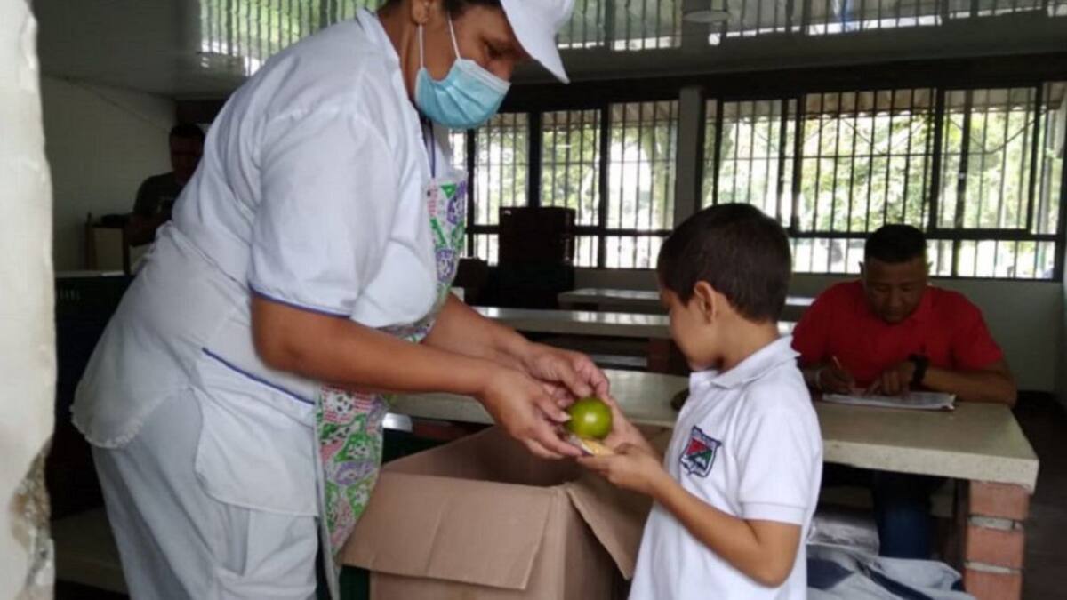 Informe PAE en Quindío