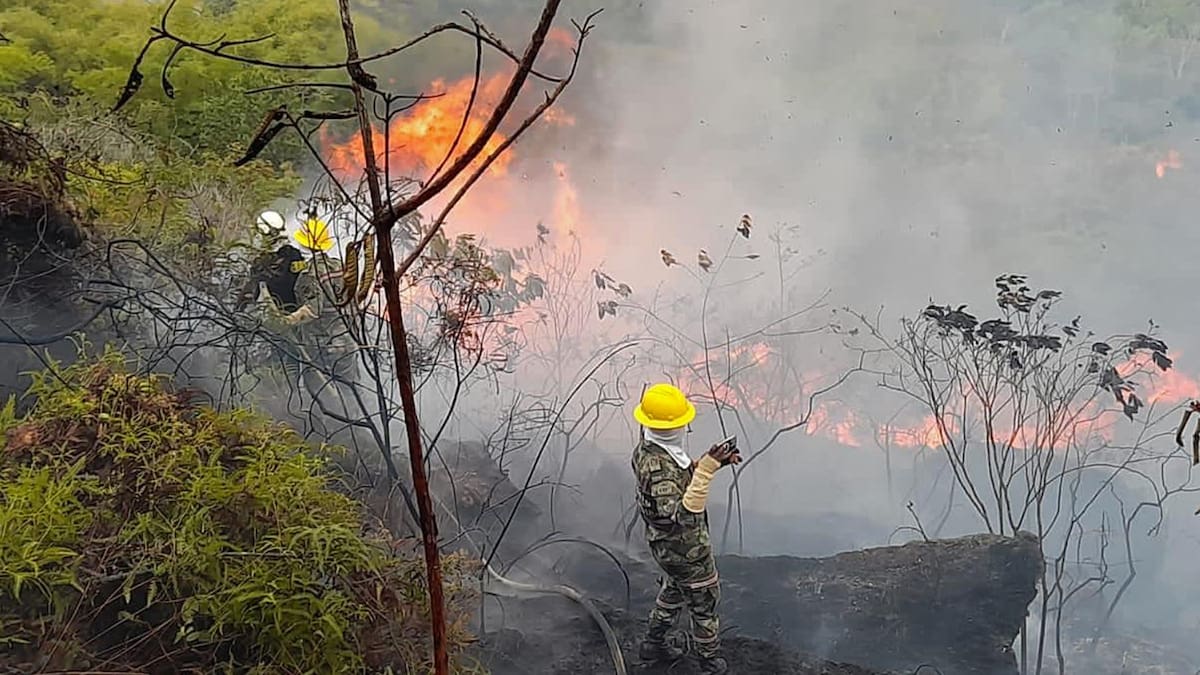 Incendios forestales en tres municipios ponen en alerta a Santander por temporada seca