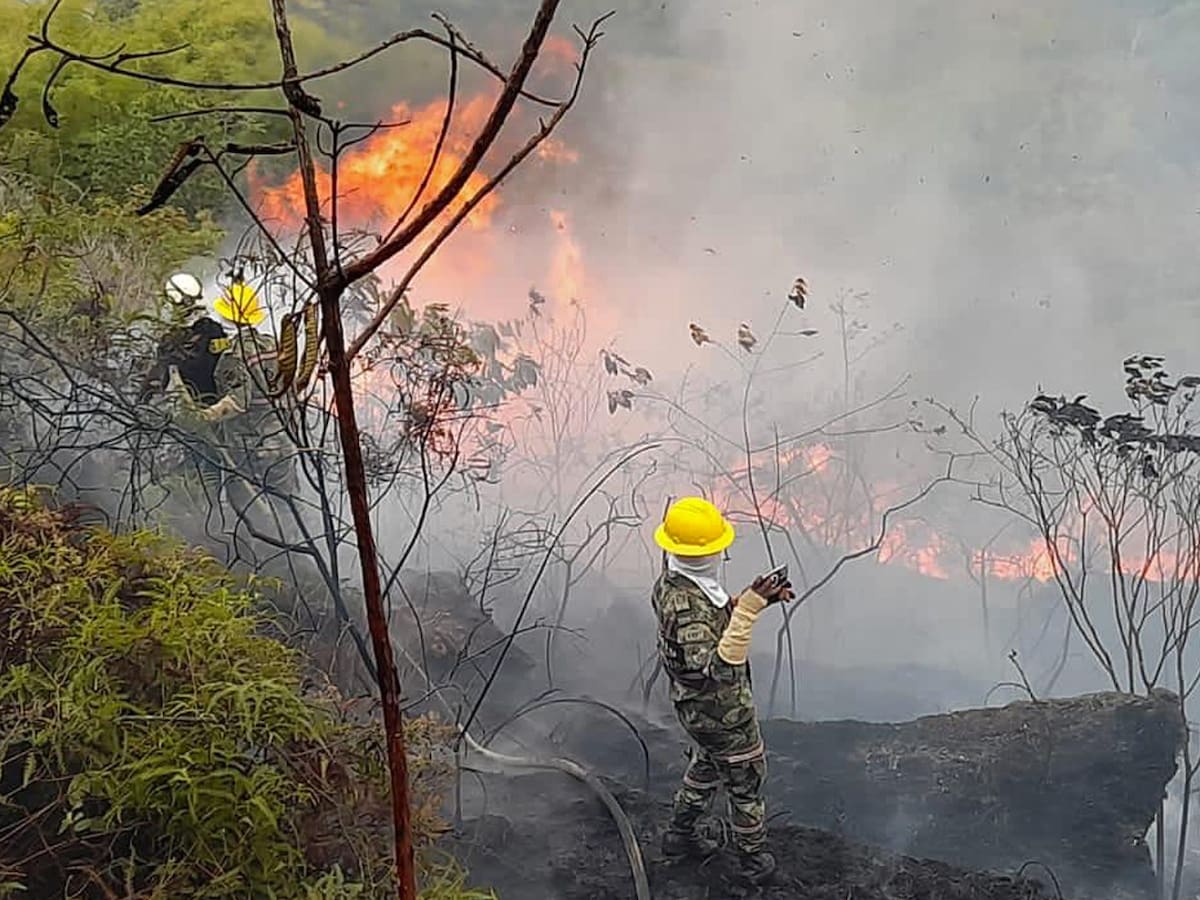 Incendios forestales en tres municipios ponen en alerta a Santander por temporada seca