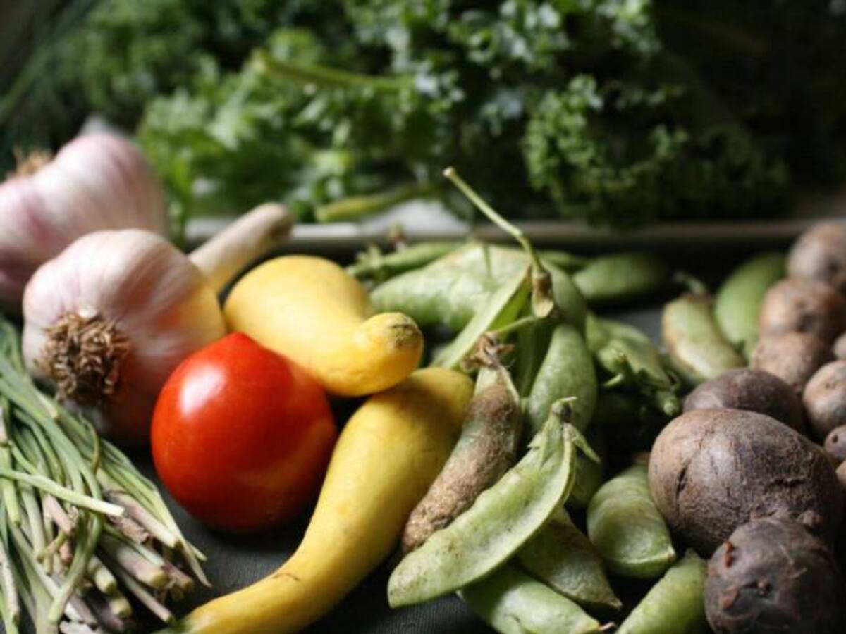 Agricultores del Valle denuncias incrementos exagerados en los precios de los alimentos