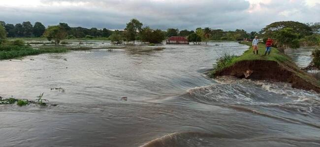 Colprensa- cortesía