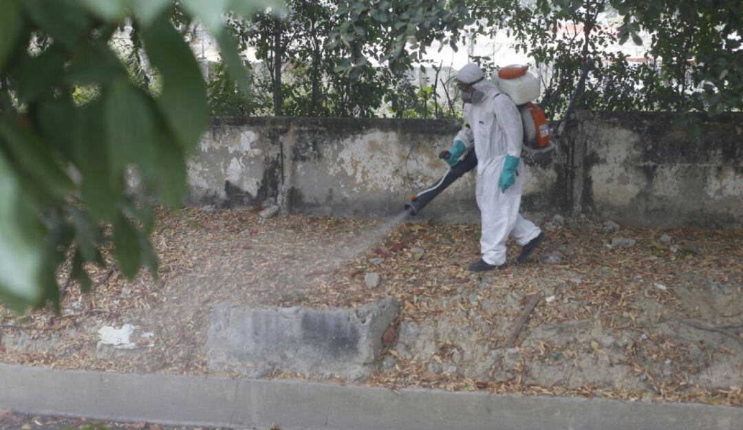 Fumigación en el barrio Los Calamares