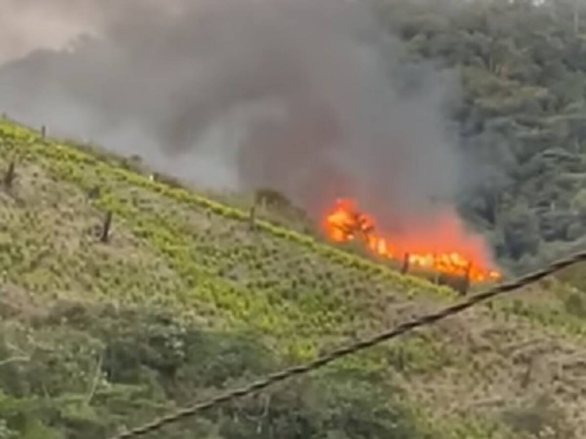 Combates en el norte del Cauca dejan más de dos mil personas confinadas