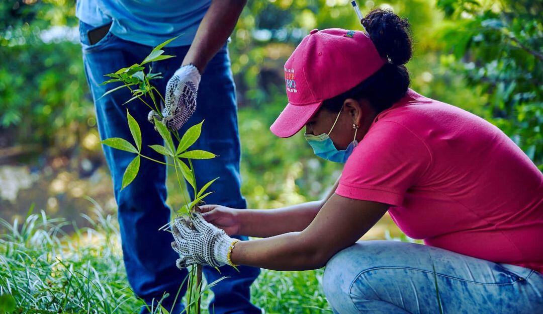 Jornada de siembra en río Manzanares