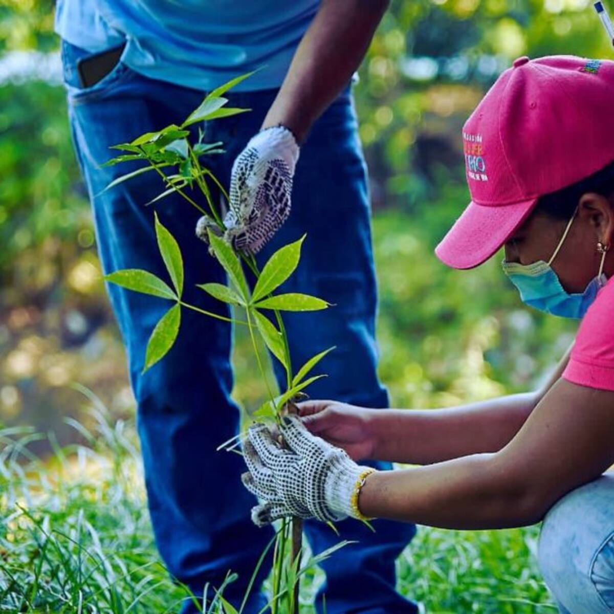 Maratón de siembra de árboles y recolección de residuos en el Manzanares