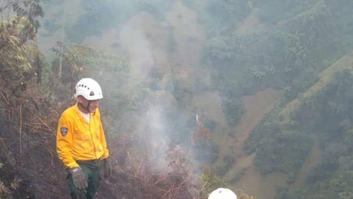 Incendio provocado afectó tres hectáreas de tierra de bosque nativo en Marquetalia, Caldas