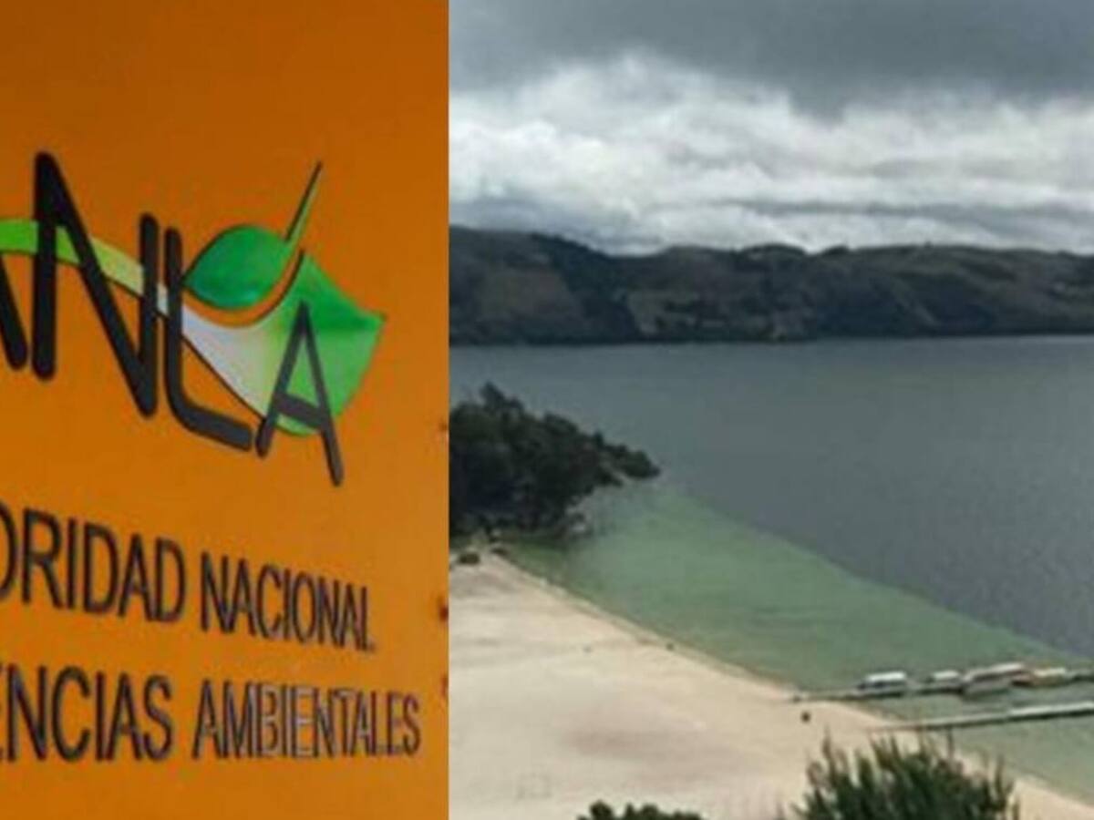 3 ONG lograron que la ANLA ordenara a Corpoboyacá que realice audiencia pública ambiental
